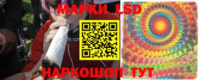 apvp Будённовск